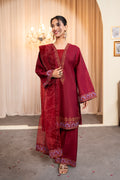 RASPBERRY - 3 PIECE SUIT
